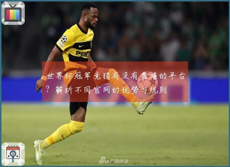 世界杯冠军竞猜有没有靠谱的平台？解析不同官网的优势与规则