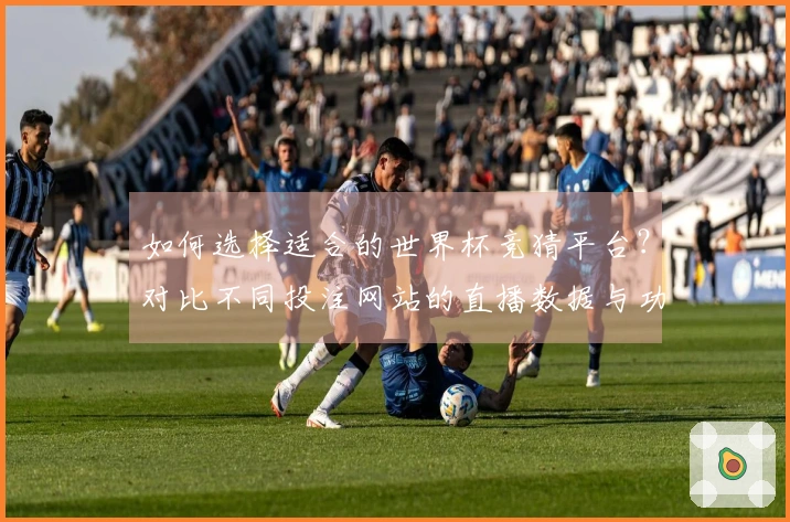 如何选择适合的世界杯竞猜平台？对比不同投注网站的直播数据与功能